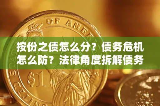 武汉按份之债怎么分？债务危机怎么防？法律角度拆解债务分配与风险自保指南