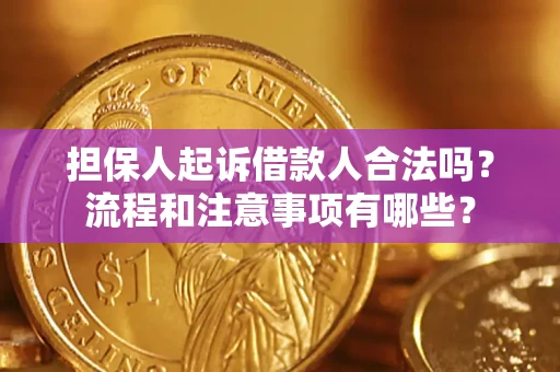 武汉担保人起诉借款人合法吗？流程和注意事项有哪些？