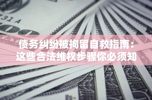 武汉债务纠纷被拘留自救指南：这些合法维权步骤你必须知道！