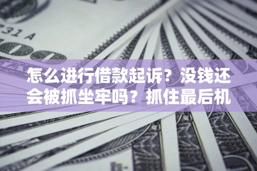 武汉怎么进行借款起诉？没钱还会被抓坐牢吗？抓住最后机会！