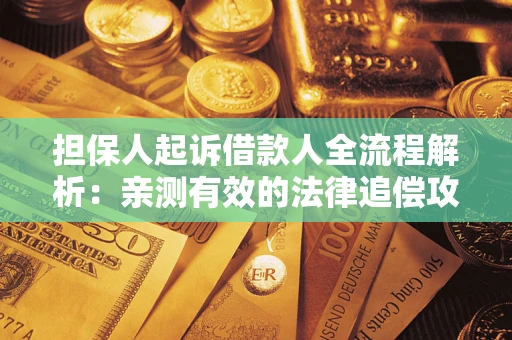 武汉担保人起诉借款人全流程解析：亲测有效的法律追偿攻略