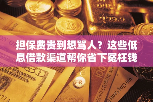 武汉担保费贵到想骂人？这些低息借款渠道帮你省下冤枉钱