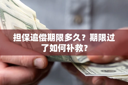 武汉担保追偿期限多久？期限过了如何补救？