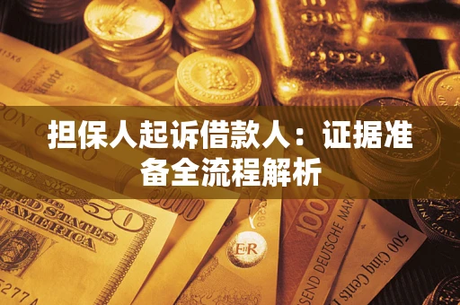 武汉担保人起诉借款人：证据准备全流程解析