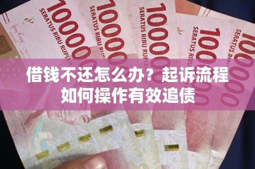 武汉借钱不还怎么办？起诉流程如何操作有效追债