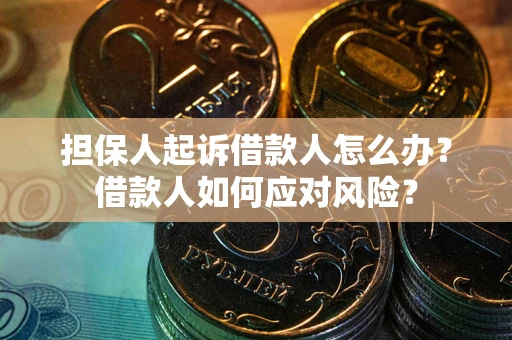 武汉担保人起诉借款人怎么办？借款人如何应对风险？