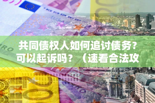 武汉共同债权人如何追讨债务？可以起诉吗？（速看合法攻略）