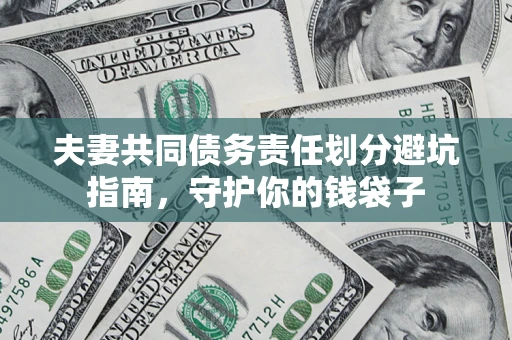 武汉夫妻共同债务责任划分避坑指南，守护你的钱袋子