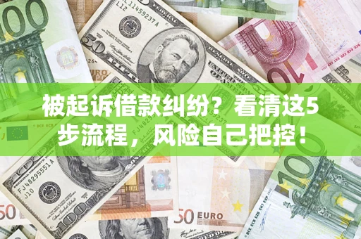 武汉被起诉借款纠纷？看清这5步流程，风险自己把控！