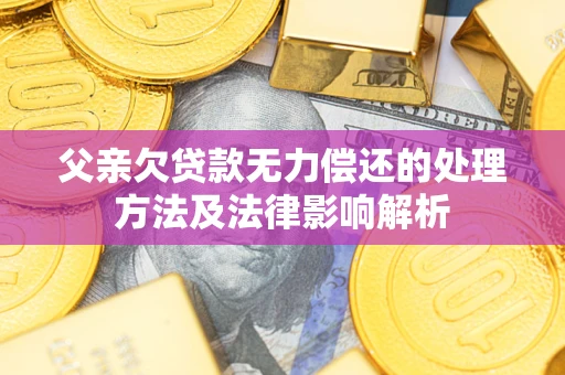 武汉父亲欠贷款无力偿还的处理方法及法律影响解析