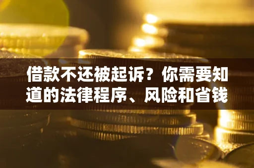 武汉借款不还被起诉？你需要知道的法律程序、风险和省钱技巧