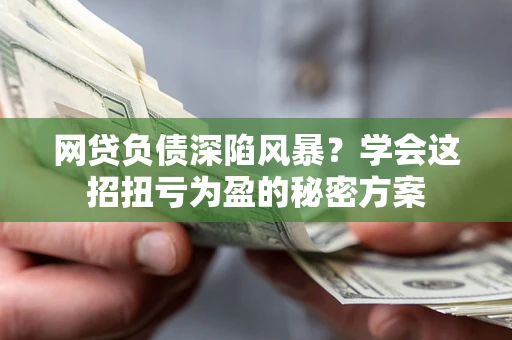 武汉网贷负债深陷风暴？学会这招扭亏为盈的秘密方案
